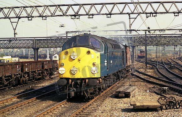40044 (Cat No MM40044) Guide Bridge 1982 Mark McDermott