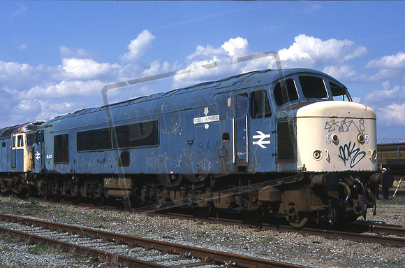 45041 THE ROYAL TANK RGMT (Cat No MS45041) CREWE BASFORD HALL 21-08-1994 MIKE SHERIDEN