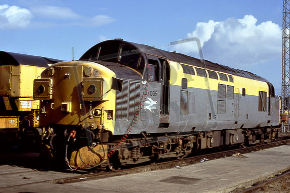 37035 (Cat No TTR2592) Toton 07-07-96 Michael Hill