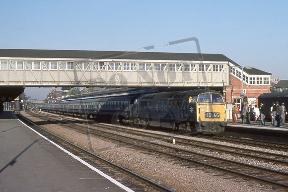 1065 WESTERN CONSORT (Cat No 211-32) Newbury SEPT 76 David Canning