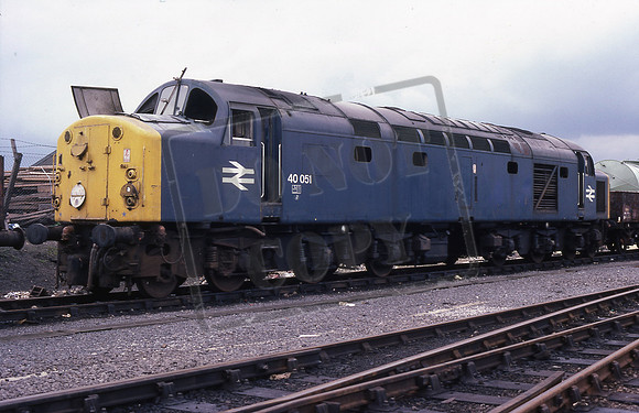 40051 (Cat No TTR2925) David Canning