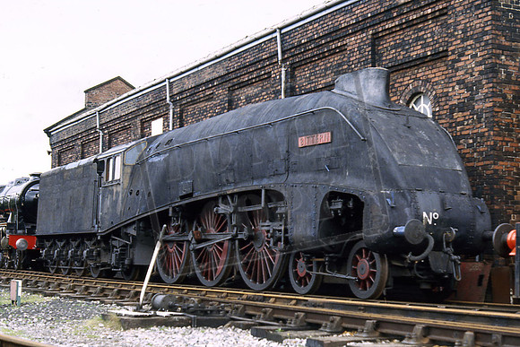 TTR829 60019 BITTERN (Cat No TTR829) Dinting 21-09-80 J Cullen