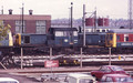 8598 (Cat No UN8598) Derby
