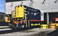 CLASS 09 SHUNTERS COLOUR