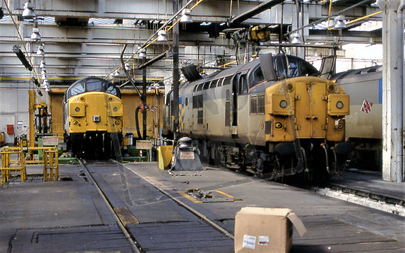 37029 & 37109 (Cat No 140-32) Thornaby Depot 19-04-92 Ian Ball