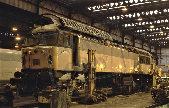 56011 (Cat No 200-30) Toton 12-01-97 Michael Hill