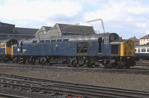 40084 (Cat No 214-22) Eastfield 21-06-81 A Hoope