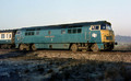 1013 (Cat No UN1013) Nr TWYFORD 31-1-1973