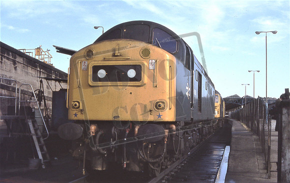 40194 (Cat No 214-23) Perth 21-06-81 A Hooper