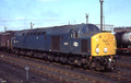 207 (Cat No UN207)