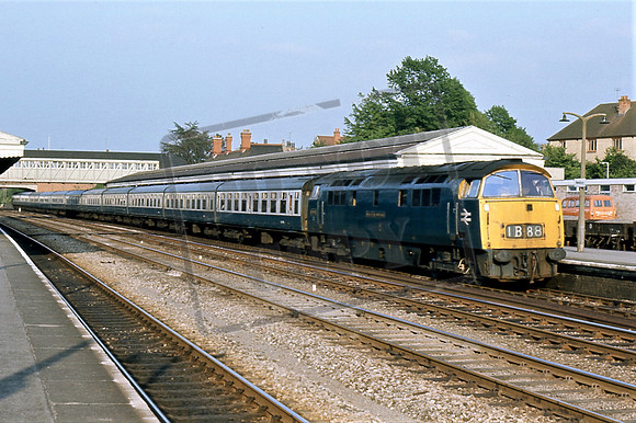 1028 WESTERN HUSSAR (Cat No TTR3147) Newbury JUN 75 David Canning