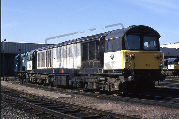 58036 (Cat No 213-37) TOTON 01-05-94 Michael Hill