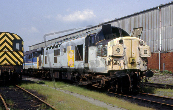 37107 (Cat No 201-31) Wigan Springs Branch 25-5-97 Dave Campbell
