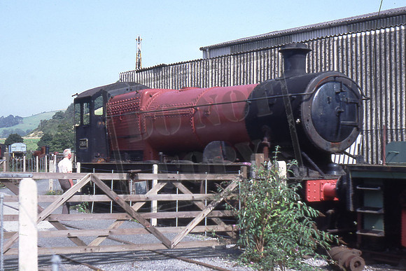 3803 (Cat No TTR 398) GWR 2-8-0 Buckfastleigh SEP 88 Martin High