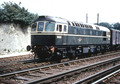 6501 (Cat No UN6501) SHEPHERDSWELL