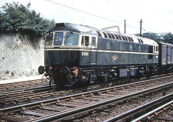 6501 (Cat No UN6501) SHEPHERDSWELL