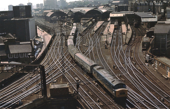 Newcastle (Cat No 202-27) Marion Canning