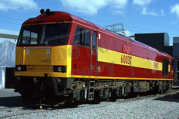 60037 (Cat No TTR2958) Prior to naming ABERTHAW at Aberthaw Power Station open day. 24-06-97 Darren Ford