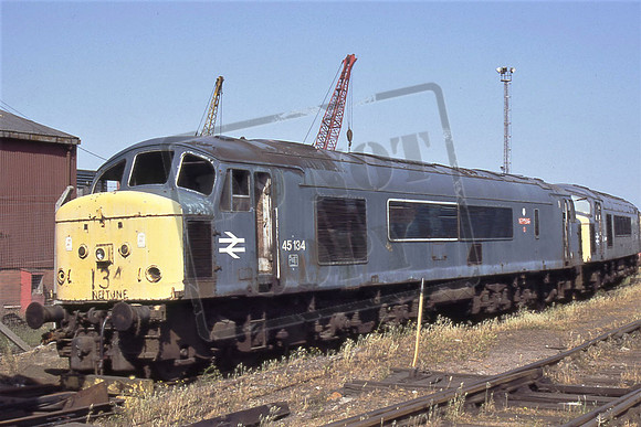 45134 NEPTUNE (Cat No TTR1574) MC Metals Glasgow  JUN 92 Dave Campbell