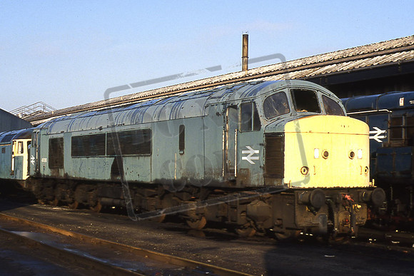 46010 (Cat No TTR1758) Doncaster Carr Depot 26-12-93 Michael Hill