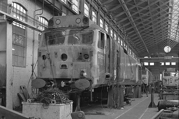TTP50020