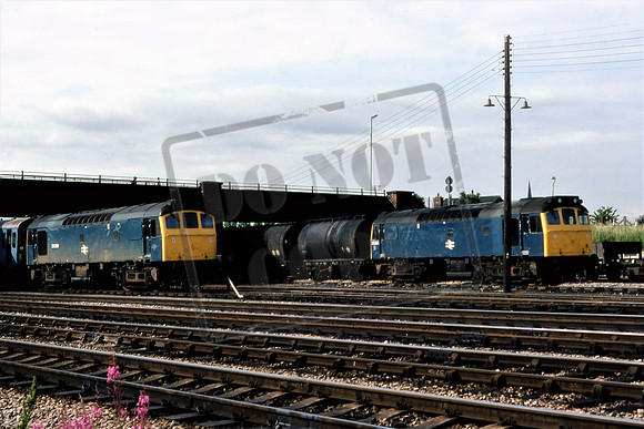25286 & 25284 (Cat No UN25286) Hereford 1980