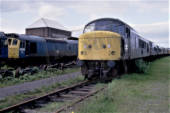 45056 (Cat No TTR1271) Doncaster Works 18-05-86 Ian Bartlett