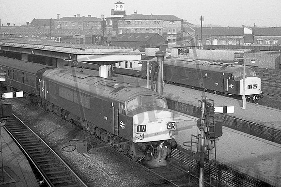 TTP19 52 DERBY