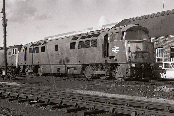 1007 TTP