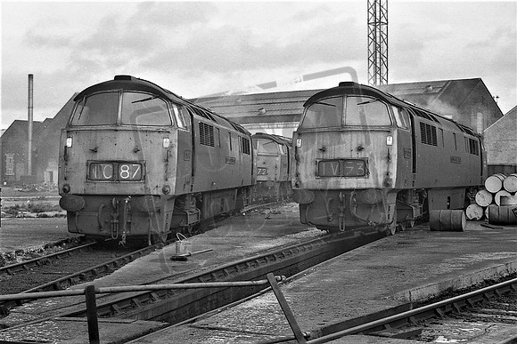 1014 TTP 1032 OLD OAK COMMON