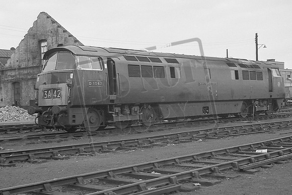 1047 TTP OLD OAK COMMON