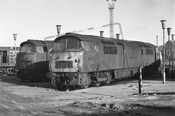 1048 TTP OLD OAK COMMON