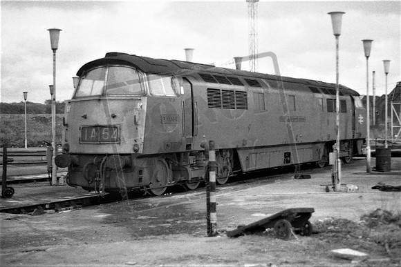 1054 TTP OLD OAK COMMON