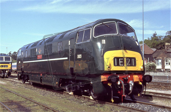 821 GREYHOUND (Cat No TTR2128) Exeter Riverside 20-4-94 Arthur Cannings