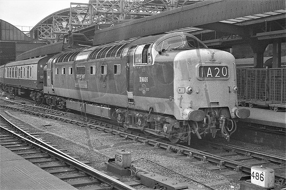 TTP9006 NEWCASTLE