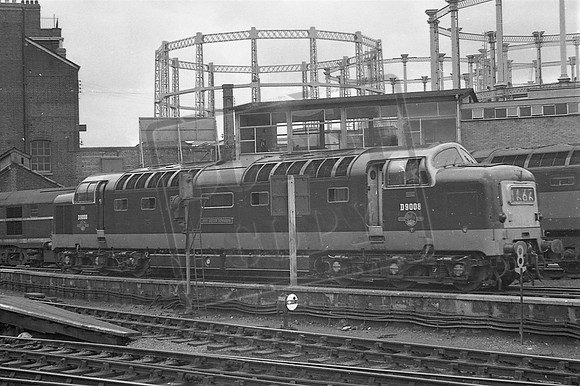 TTP9008 KINGS CROSS