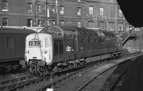 TTP9011 KINGS CROSS