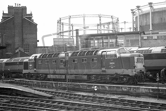 TTP9014 KINGS CROSS