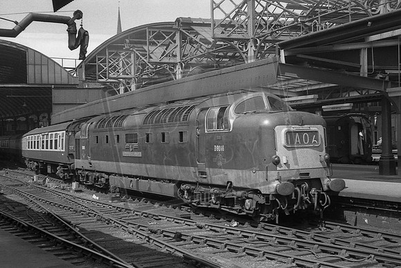 TTP9016 NEWCASTLE