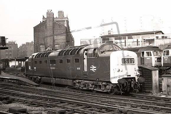 TTP9018 KINGS CROSS