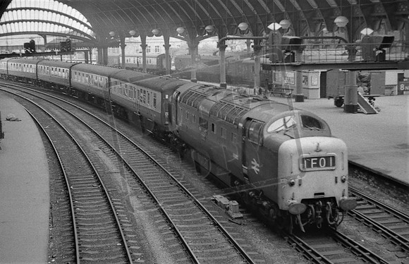 TTP9020 YORK