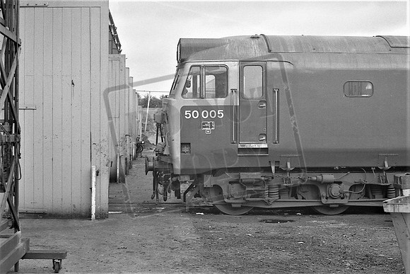 TTP50005