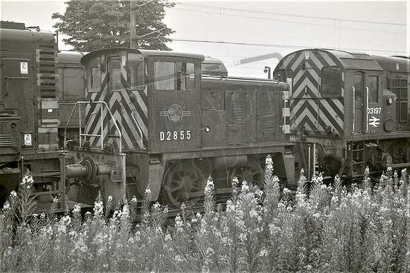 2855 TTP ALLERTON
