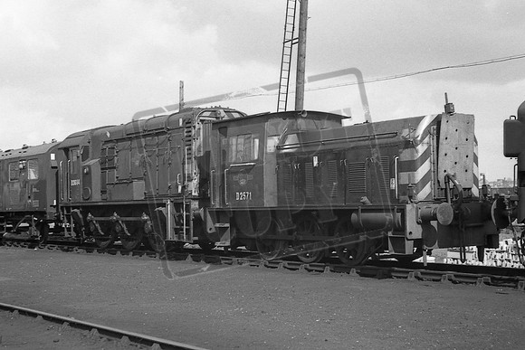 2571 TTP 3684 PARKESTON