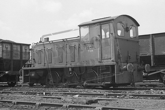 TTP2238 TOM MANVERS MAIN 1970