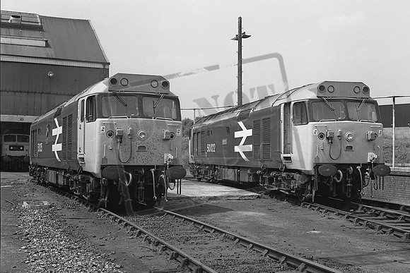 TTP50035 50022