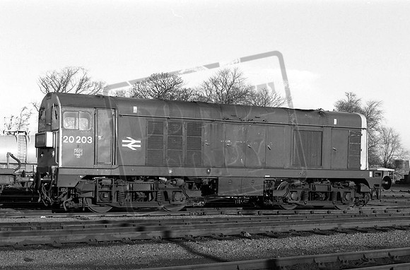TTP20203 THORNTON 25-9-84