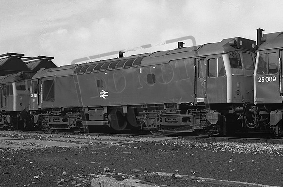 TTP25167 BIRKENHEAD 18-8-1979