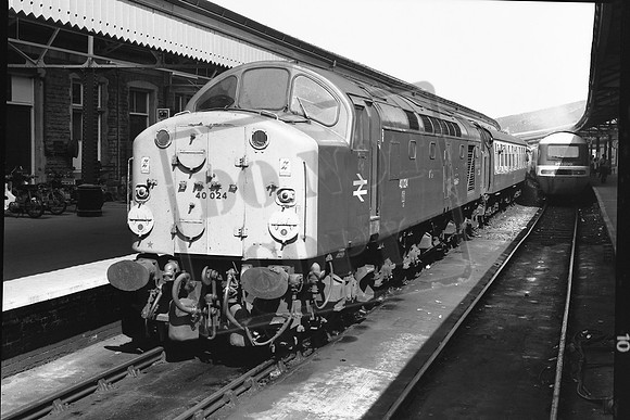 TTP40024