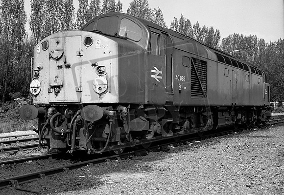 TTP40083 HULL BOTANIC 30-5-81 CJM